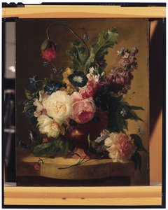 Nature morte de fleurs