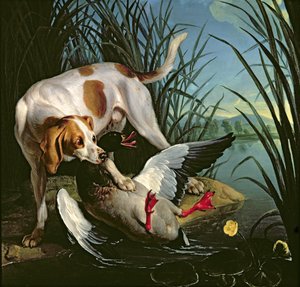 Chien avec un canard sauvage