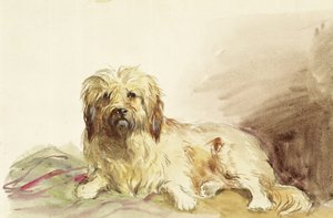 Le chien de l