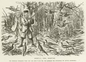 Chasse aux oiseaux de sport
