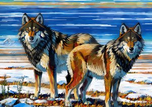 Animaux : Loups 1