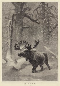 Hiver