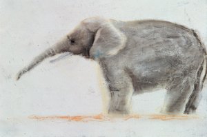 Éléphant