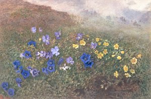 Fleurs de montagne printanières, 1896