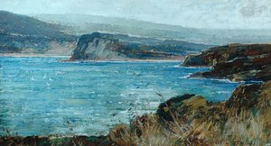 Falaises au-dessus de la baie de Robin Hood