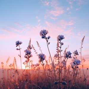 Champ de fleurs 2
