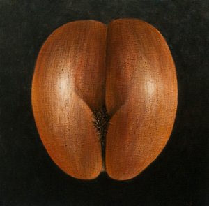 Coco de Mer