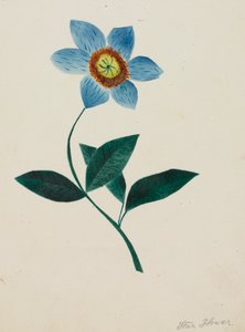 Fleur étoilée