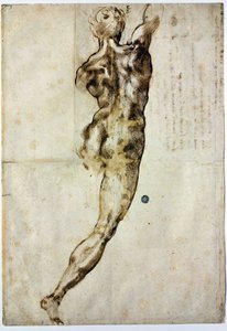 Nu de dos, c. 1504