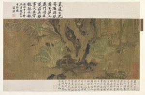 Bambou, grenouille et insectes