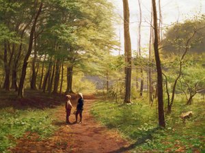 Promenade en Forêt