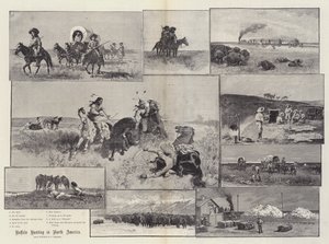 Chasse au bison en Amérique du Nord