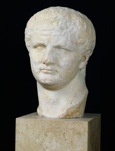 Tête de Titus (39-81)