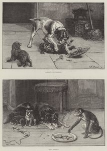 Chiens et nourriture
