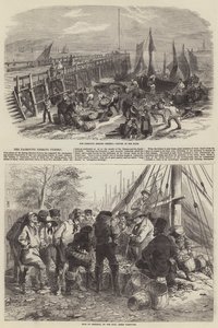 La pêche au hareng à Yarmouth