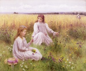 Fleurs des prés