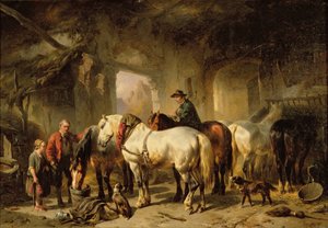 Chevaux se nourrissant dans l