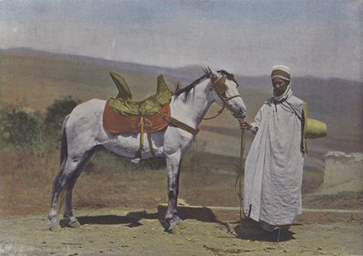 Le Cheval arabe - (after) French Photographer