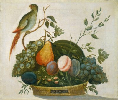 Panier de fruits avec perroquet - A.M. Randall