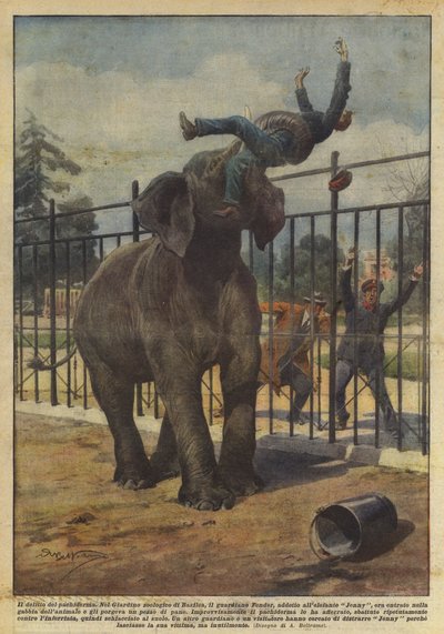 Le crime du pachyderme - Achille Beltrame