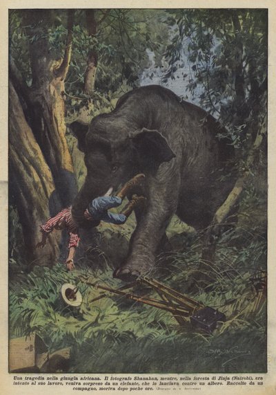 Tragédie dans la jungle africaine - Achille Beltrame