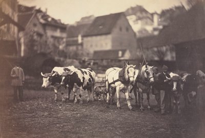 Sans titre (Animaux de la ferme) - Adolphe Braun