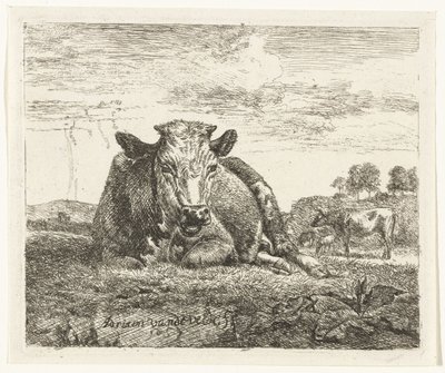 Vache couchée - Adriaen van de Velde