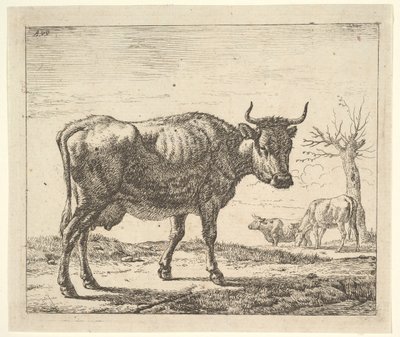 Trois vaches, de Différents animaux - Adriaen van de Velde