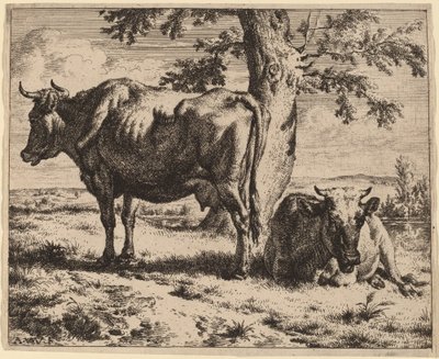 Deux vaches sous un arbre - Adriaen van de Velde