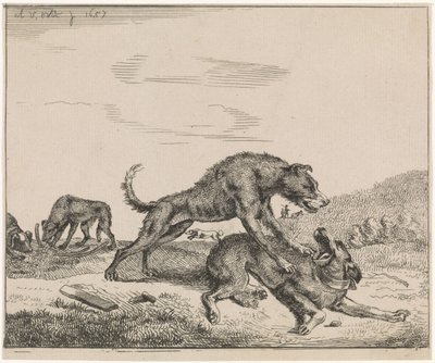 Chiens se battant (Vee) - Adriaen van de Velde