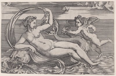 Vénus allongée sur un dauphin, vers 1516 - Agostino Veneziano