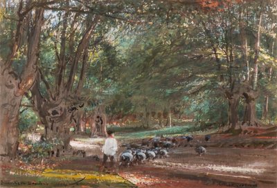 Burnham Beeches - Albert Goodwin