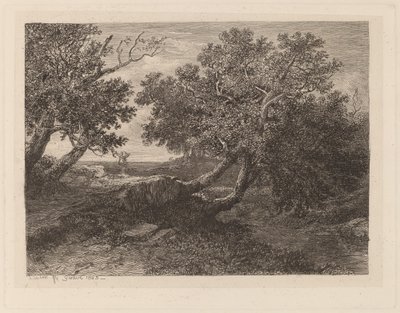 Ruisseau avec arbres surplombants - Alexandre Calame