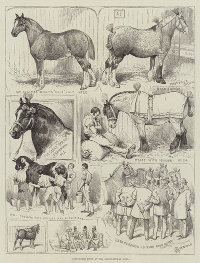 Exposition de chevaux de trait au Agricultural Hall - Alfred Courbould