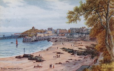 Tenby, Depuis les Pentes - Alfred Robert Quinton