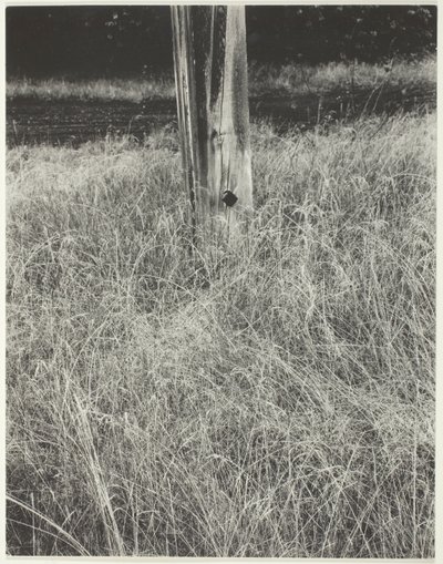 Herbe et mât de drapeau - Alfred Stieglitz