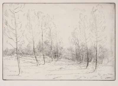 Avenue de peupliers - Alphonse Legros