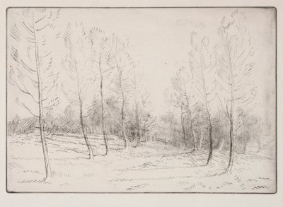 Avenue de peupliers - Alphonse Legros