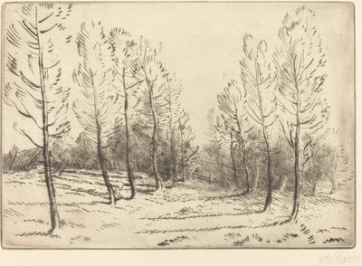 Avenue de peupliers - Alphonse Legros