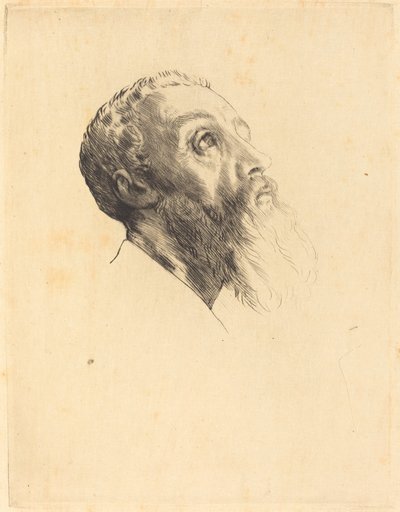 Tête de modèle - Alphonse Legros