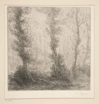 Le Petit Lac - Alphonse Legros