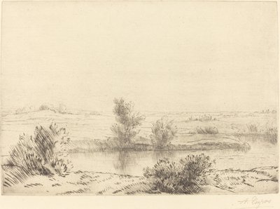 Les marais - Alphonse Legros