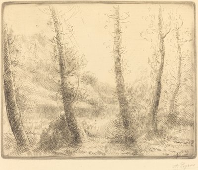 Le petit lac - Alphonse Legros