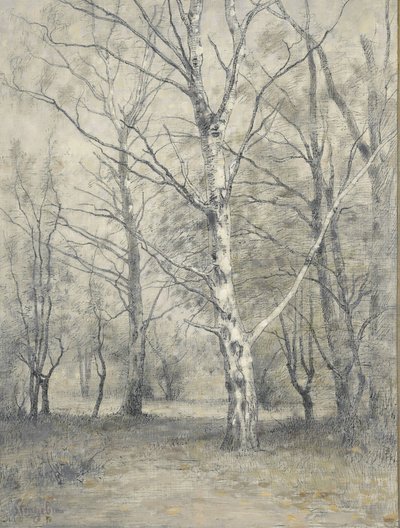 Forêt avec des bouleaux - Alphonse Stengelin