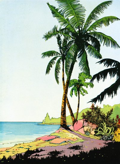 Illustration de la plage paradisiaque avec des palmiers - American School