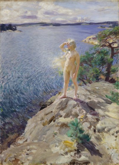 Dans les skerries - Anders Leonard Zorn