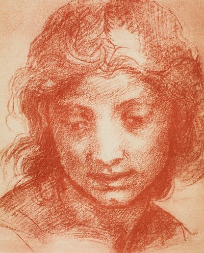 Tête de garçon - Andrea del Sarto