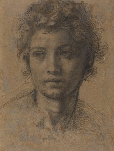 Tête de Saint Jean-Baptiste - Andrea del Sarto