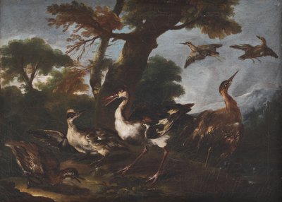 Paysage avec des oiseaux - Angelo Maria Crivelli