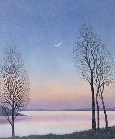 Crépuscule à Draycote, 2008 - Anna Phillips